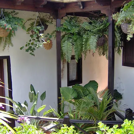 To The Street With Big Kitchen Appartement Icod De Los Vinos