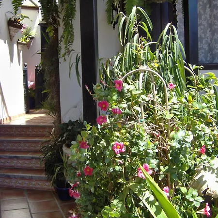 To The Street With Big Kitchen Appartement Icod De Los Vinos